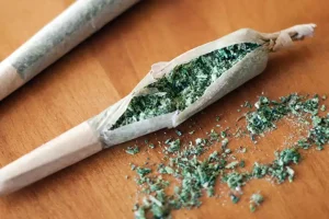 A Stress-Free Way to Enjoy THC with Prerolled Joints Packed with Quality